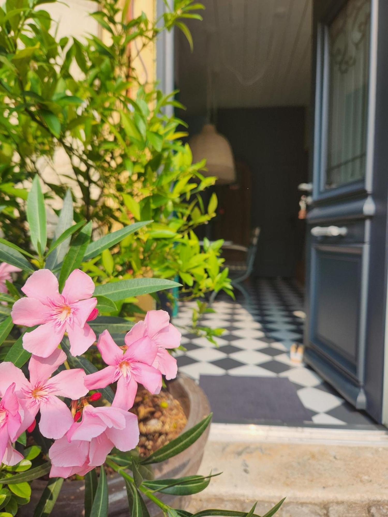 La Maison Mulato ليبورن الغرفة الصورة